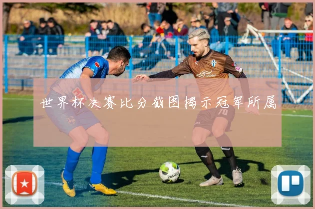 世界杯决赛比分截图揭示冠军所属